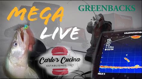 Mega Live Greenback Walleyes Ft Carlo S Cucina Youtube