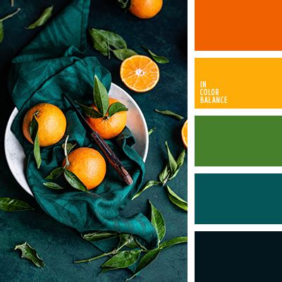 цвет листьев апельсина | IN COLOR BALANCE