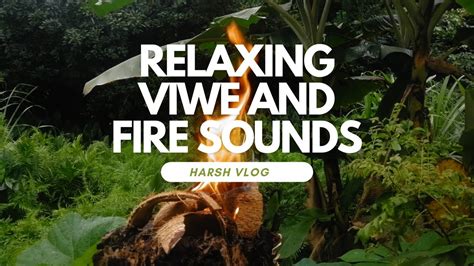 Relaxing view and Fire Sounds - YouTube