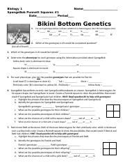 Spongebob Doc Biology Name Spongebob Punnett Squares Date Period Bikini Bottom