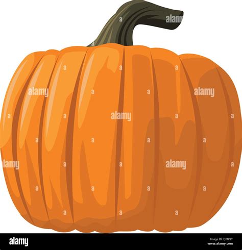 Healthy Pumpkin Vegetable Stock Vector Image Art Alamy