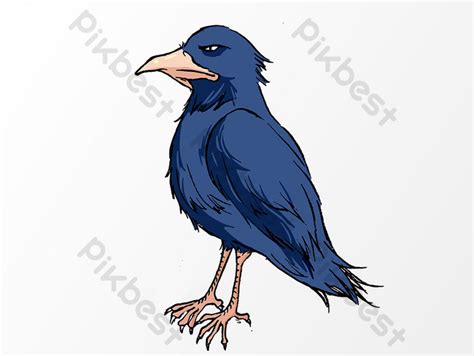 Drawing Crow Cartoon Elements Png Images Psd Free Download Pikbest