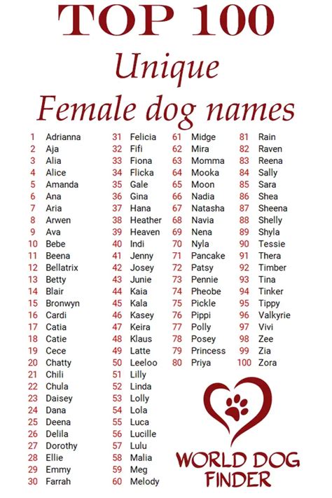 200 Unique & Uncommon Dog Names - World Dog Finder