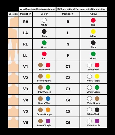 ECG Color Coding Standards For 12 Lead ECG AHA And IEC Yellow Black