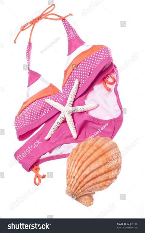 Summer Bikini Concept Bikini Shells Isolated Stock Photo 72459118 Shutterstock