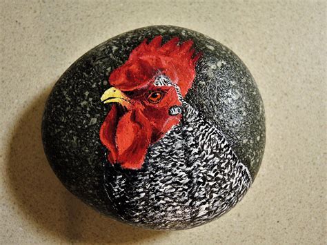 Chicken Painted Rock Stone Painting Painted Rocks Chicken Painting