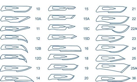 PARAMOUNT Surgical Scalpel Blades | Progress Healthcare