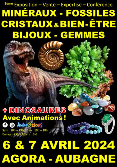 SALON DES MINÉRAUX FOSSILES GEMMES CRISTAUX BIEN ÊTRE BIJOUX DE