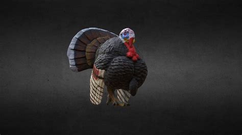 Turkey 3d Model By Olhav [9cbee96] Sketchfab