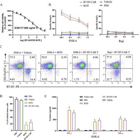 T Cell Mediated Cytotoxicity Induced By B7 H3 Redirected BiTE And CAR T