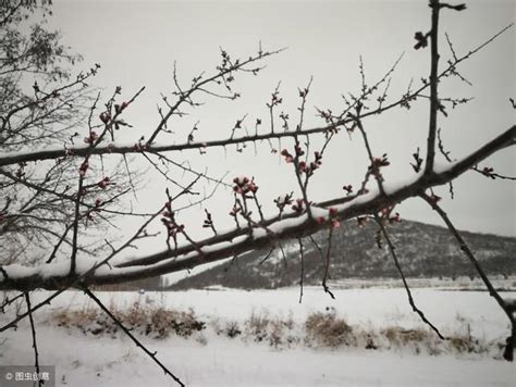 老祖宗說：清明墳頭颳起土，家中必 有橫 禍 出，真不是迷信 每日頭條