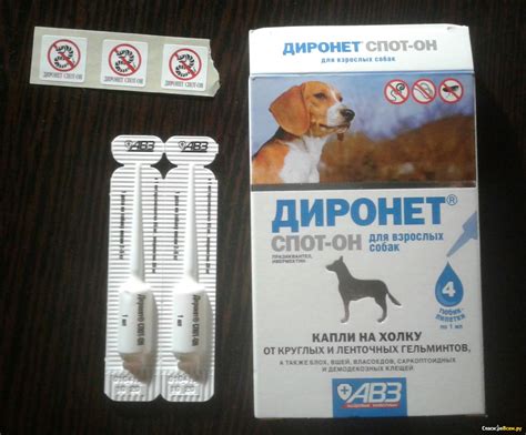 Диронет для кошек (капли Спот-он, таблетки, суспензии): инструкция по ...