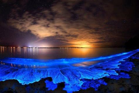 Essa Praia Das Maldivas Brilha No Escuro