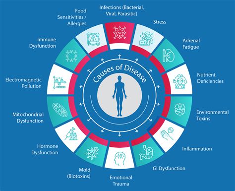 Integrative Medicine Wheel