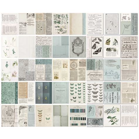 eucalyptus color 12