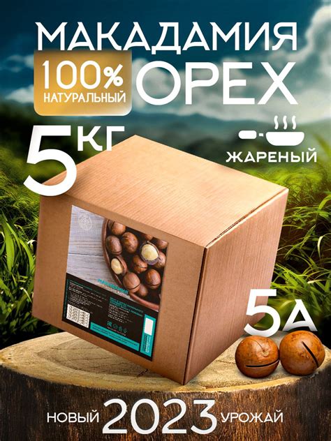 Орехи макадамия в скорлупе, в коробке 5КГ, жареные, крупные ...