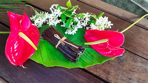 Gousses De Vanille Bourbon Madagascar Vani Saveurs