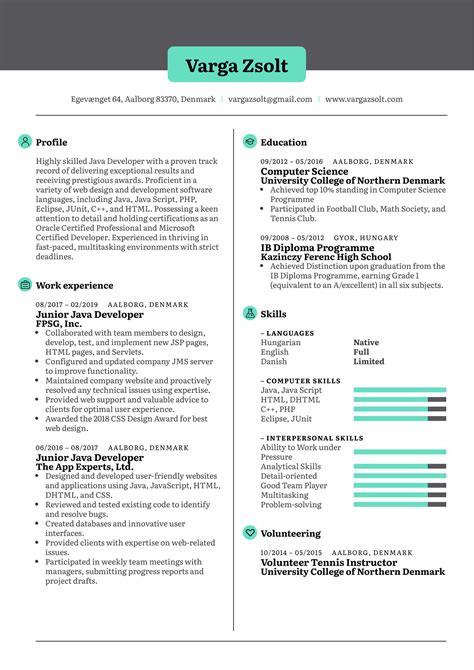 Junior Web Developer Resume Examples Guide For Off