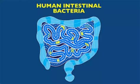 Gut Microbiome Composition Associated With Future Onset Of Crohn S