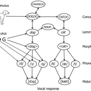 The Semantic Interference Effect In Picture Naming As A Function Of The