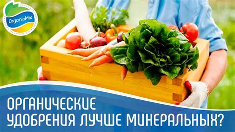Почему органические удобрения лучше минеральных? | Минеральные ...