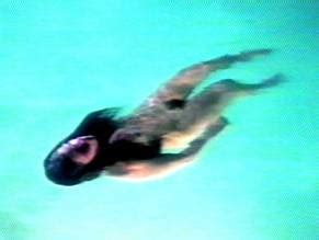 Angel Negro Nude Scenes Aznude