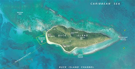 Map Of Buck Island St Croix Caribbean Sea Virgin Islands Reef