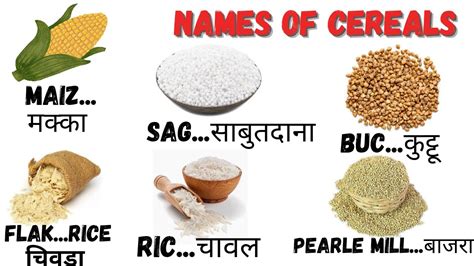 Cereals And Grains Name In English And Hindi With Pictures