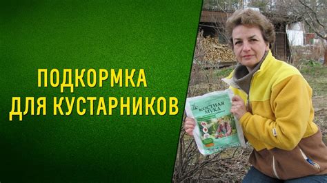 Подкормка для кустарников - YouTube