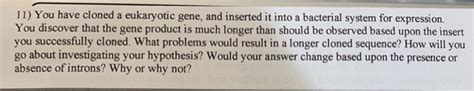 Solved 11) You have cloned a eukaryotic gene, and inserted | Chegg.com 