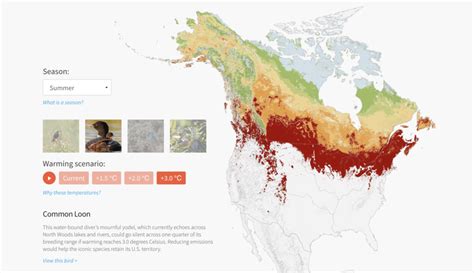 Interactive Maps | Stamen