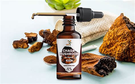 Chaga Mushroom Drops Inonotus Obliquus Alcohol Free