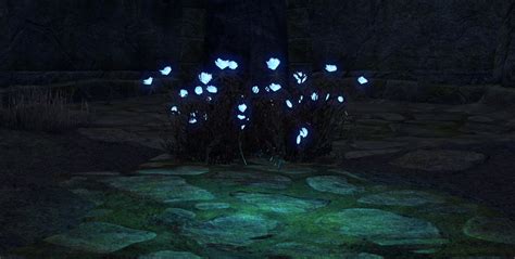 Eso Fashion Shrub Glowing Thistle Elder Scrolls Online