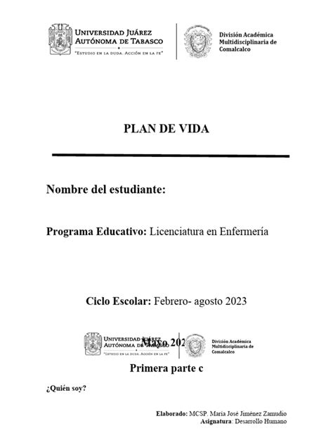 3 Formato De Plan De Vida Pdf Planificación