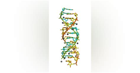 Synchrotron light identifies RNA double helix structure | Laser Focus World