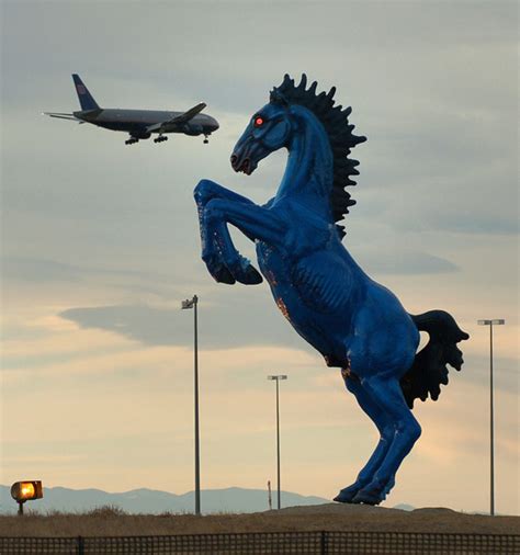 Blue horse at Denver International Airport eligible for removal soon - Canon City Daily Record