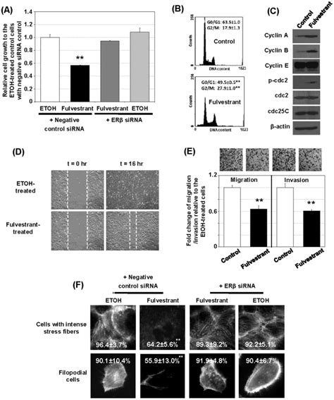 A Fulvestrant Induces Growth Inhibition Of Du145 Cells Via An