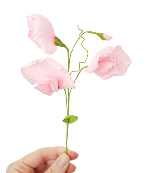 Sweet Pea Vine Handmade Crepe Paper Flowers Etsy