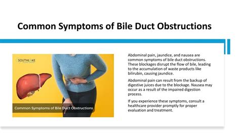 Ppt Understanding Blocked Bile Duct Symptoms Powerpoint Presentation