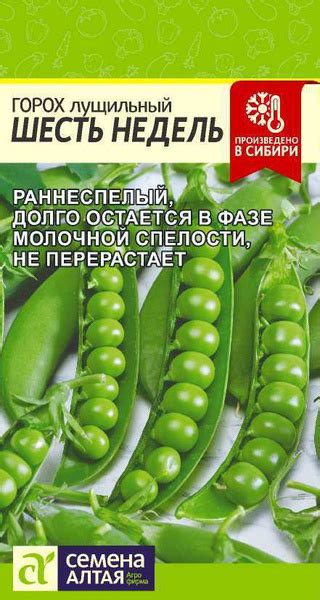Горох Семена Алтая Горох Шесть Недель - купить по выгодным ценам в ...