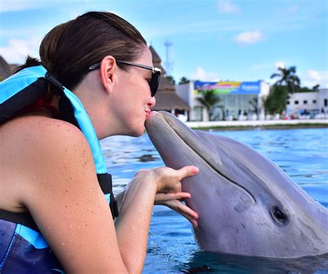 5 Cosas Que Hacer Y Ver En Cozumel Dolphin Blog Dolphin Discovery Blog