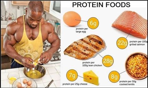 Bodybuilding Diet - What are the 12 best foods for bodybuilding? - Broscience.com