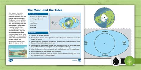 The Moon And Tides Craft Activity Teacher Made Twinkl Worksheets