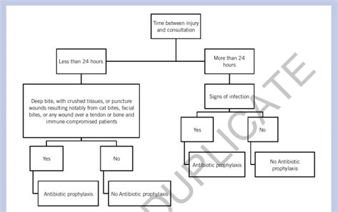 Indication For Antibiotic Prophylaxis Following An Animal Bite