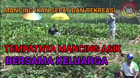 MANCING IKAN DI DANAU TAMAN LIMO BEKASI TEMPATNYA MANCING IKAN NILA