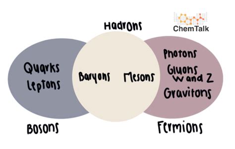 Bosons vs. Fermions | ChemTalk