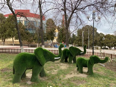 Что посмотреть в Махачкале: достопримечательности, маршрут ...