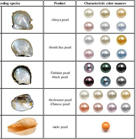 Columns Names Pearl Producing Species Trade Jewelry Knowledge