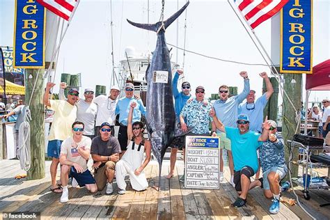 Fishing Team Lose 3 5million Prize After 619 Pound Blue Marlin Caught