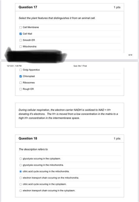Solved Question 17 1 pts Select the plant features that | Chegg.com 